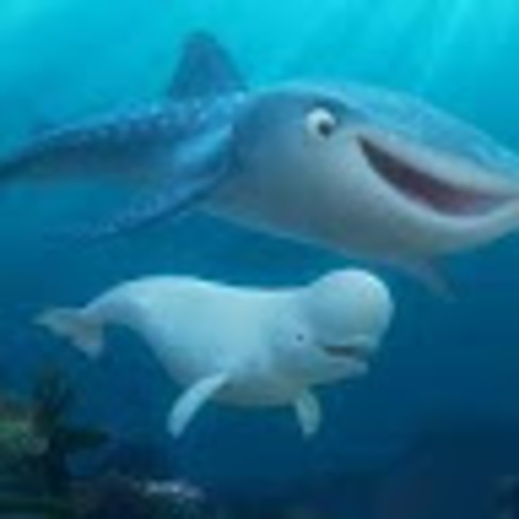 Meet your Posher, Aubree - Picture 1 of 1